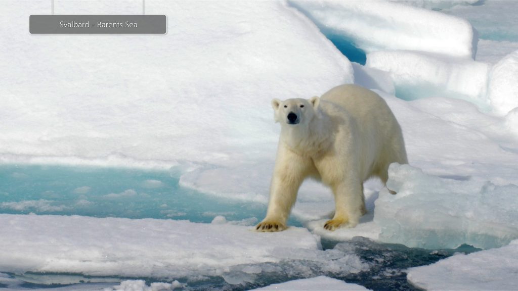 Svalbard-1-scaled-1.jpg
